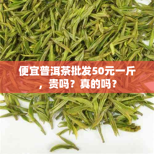 便宜普洱茶批发50元一斤，贵吗？真的吗？