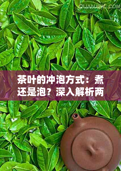 茶叶的冲泡方式：煮还是泡？深入解析两种传统饮茶方法的奥秘