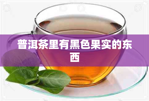 普洱茶里有黑色果实的东西