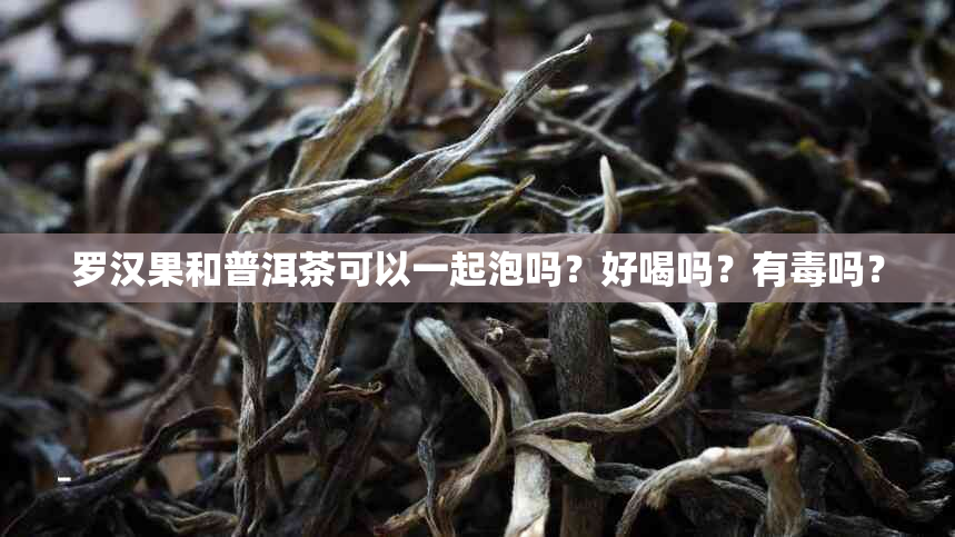 罗汉果和普洱茶可以一起泡吗？好喝吗？有吗？