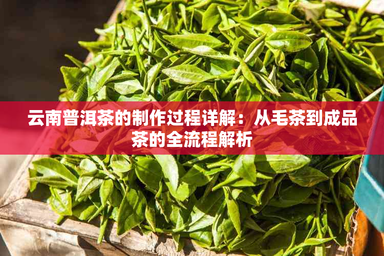 云南普洱茶的制作过程详解：从毛茶到成品茶的全流程解析