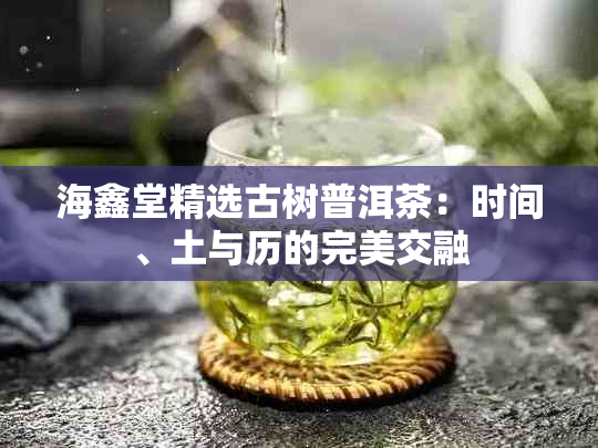 海鑫堂精选古树普洱茶：时间、土与历的完美交融