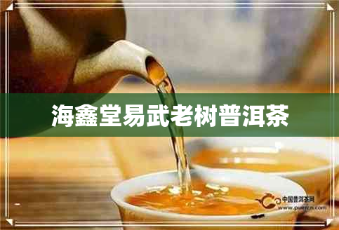 海鑫堂易武老树普洱茶