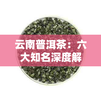 云南普洱茶：六大知名深度解析，助你找到更爱的那一款