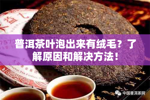 普洱茶叶泡出来有绒毛？了解原因和解决方法！