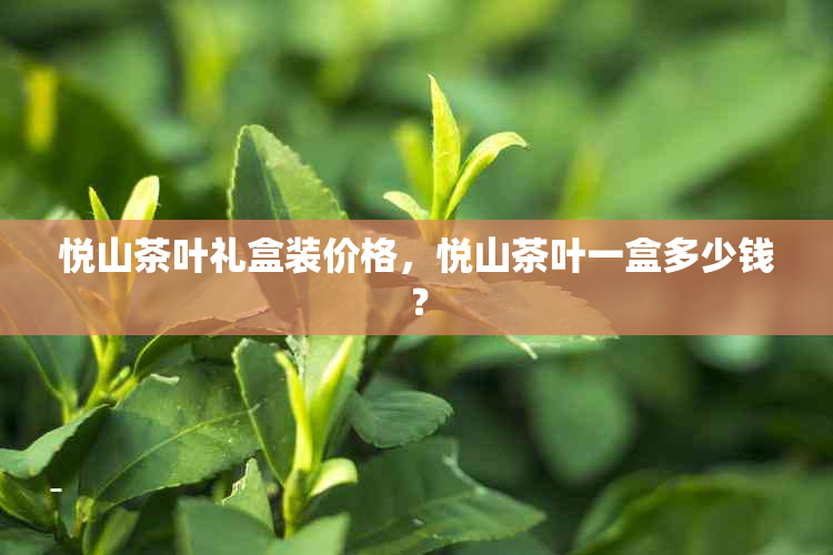 悦山茶叶礼盒装价格，悦山茶叶一盒多少钱？