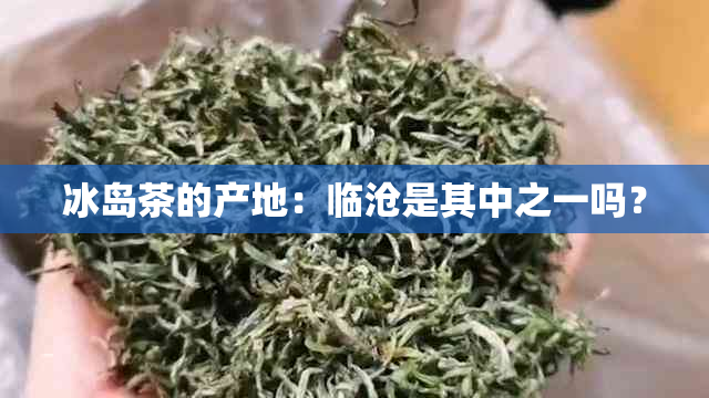 冰岛茶的产地：临沧是其中之一吗？