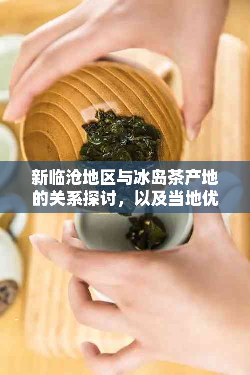 新临沧地区与冰岛茶产地的关系探讨，以及当地优质茶叶的发展潜力