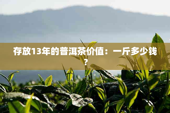 存放13年的普洱茶价值：一斤多少钱？