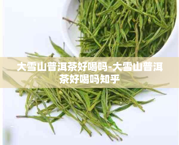 大雪山普洱茶好喝吗-大雪山普洱茶好喝吗知乎