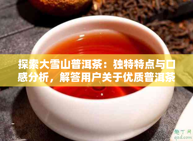 探索大雪山普洱茶：独特特点与口感分析，解答用户关于优质普洱茶的疑问