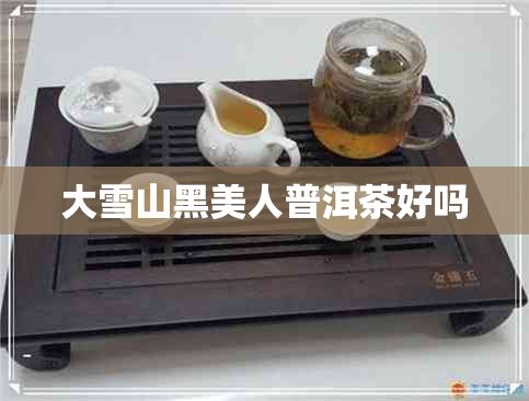 大雪山黑美人普洱茶好吗