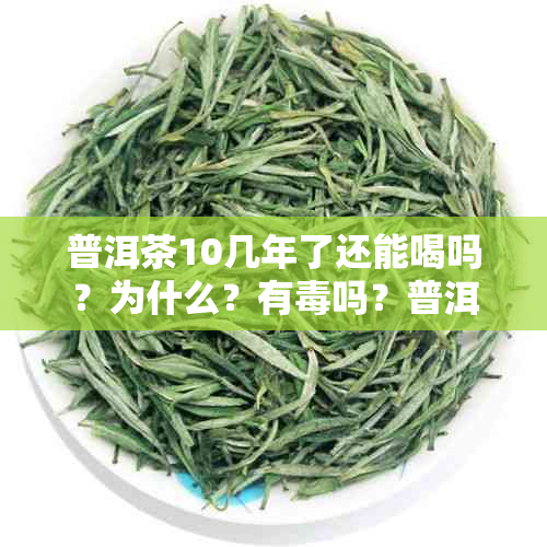 普洱茶10几年了还能喝吗？为什么？有吗？普洱茶10多年了还能喝吗？