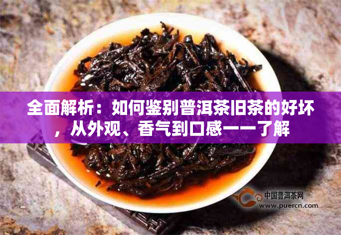 全面解析：如何鉴别普洱茶旧茶的好坏，从外观、香气到口感一一了解