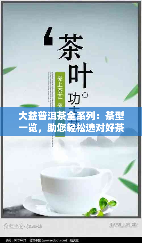 大益普洱茶全系列：茶型一览，助您轻松选对好茶