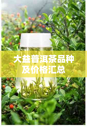 大益普洱茶品种及价格汇总