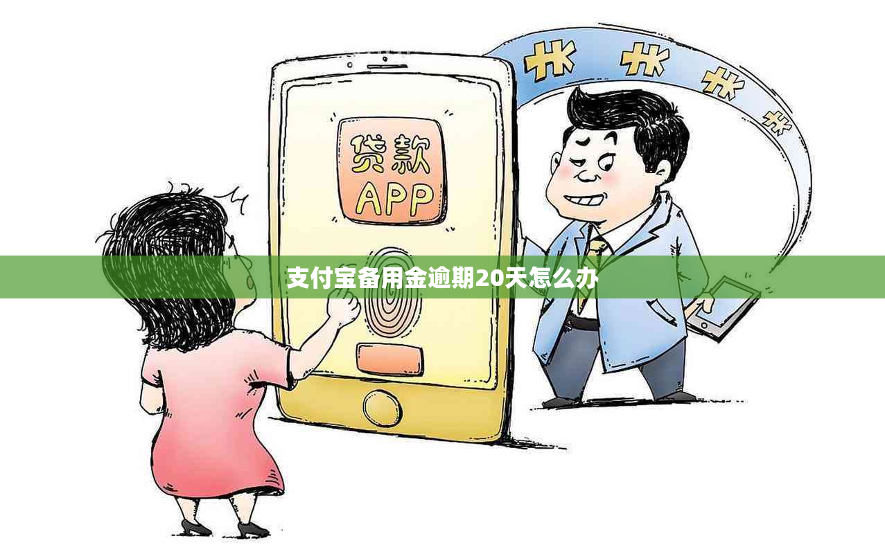 支付宝备用金逾期20天怎么办