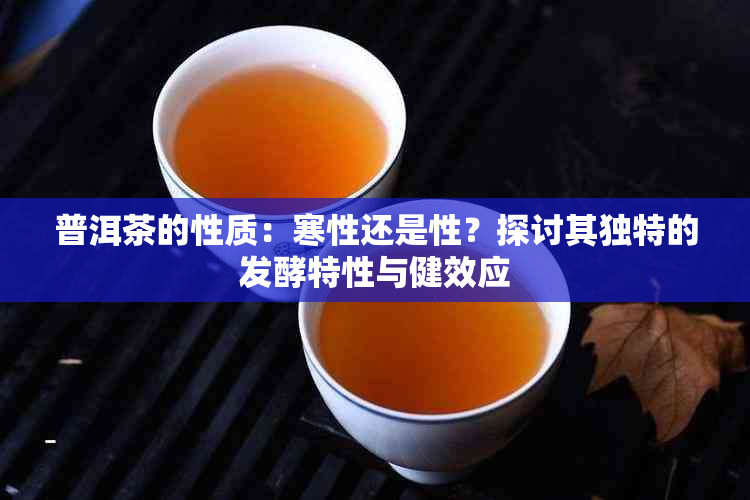 普洱茶的性质：寒性还是性？探讨其独特的发酵特性与健效应