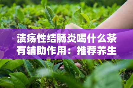 溃疡性结肠炎喝什么茶有辅助作用：推荐养生茶及