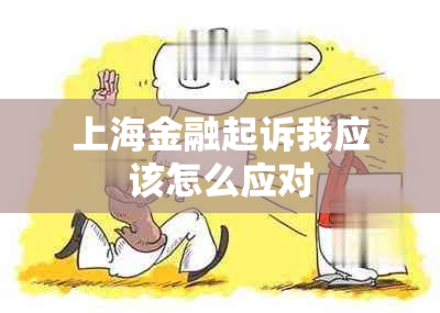 上海金融起诉我应该怎么应对