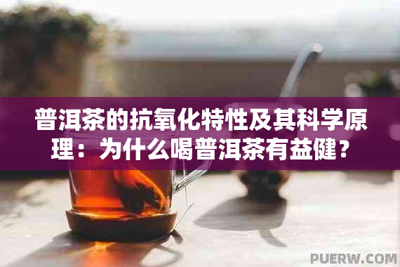 普洱茶的抗氧化特性及其科学原理：为什么喝普洱茶有益健？