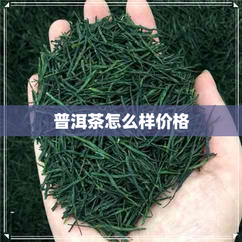 普洱茶怎么样价格