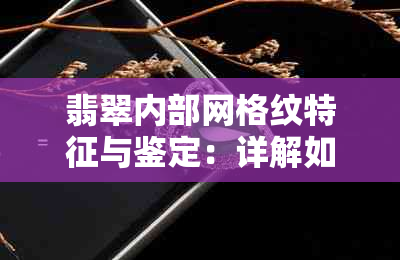 翡翠内部网格纹特征与鉴定：详解如何识别和评估老翡翠的质量