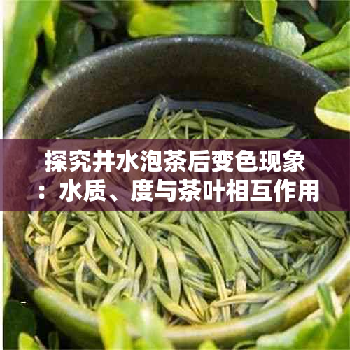 探究井水泡茶后变色现象：水质、度与茶叶相互作用的影响