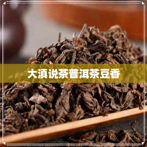 大滇说茶普洱茶豆香