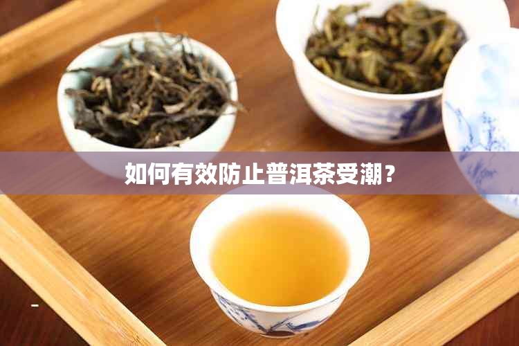 如何有效防止普洱茶受潮？