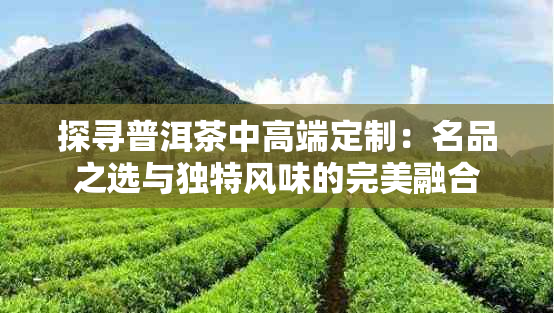 探寻普洱茶中高端定制：名品之选与独特风味的完美融合