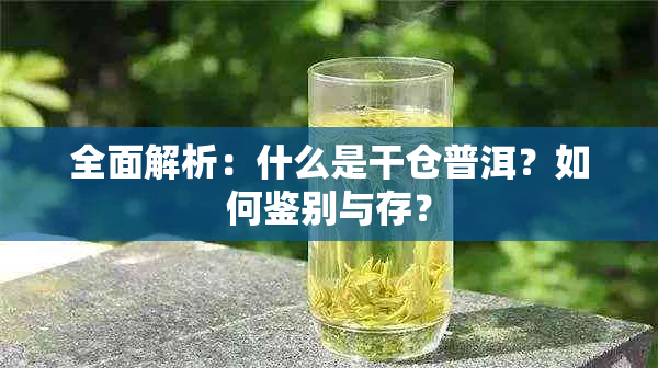 全面解析：什么是干仓普洱？如何鉴别与存？