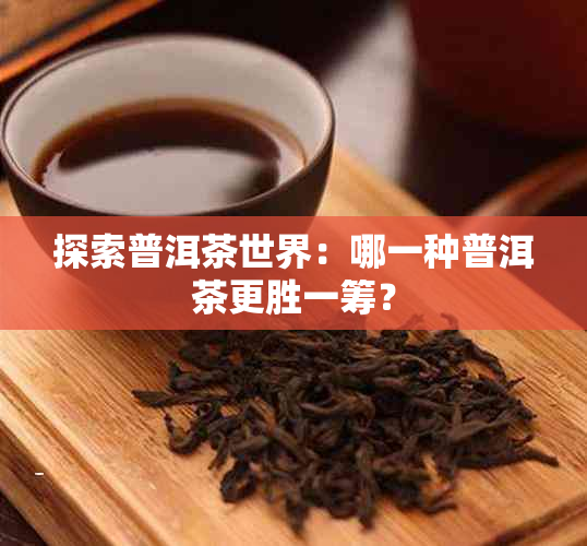 探索普洱茶世界：哪一种普洱茶更胜一筹？