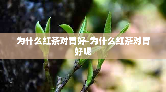 为什么红茶对胃好-为什么红茶对胃好呢