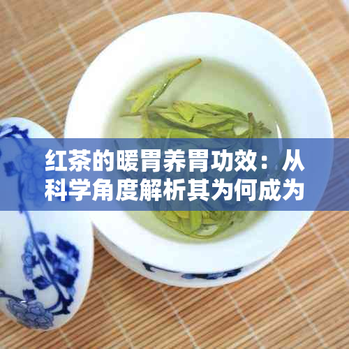 红茶的暖胃养胃功效：从科学角度解析其为何成为冬的饮品