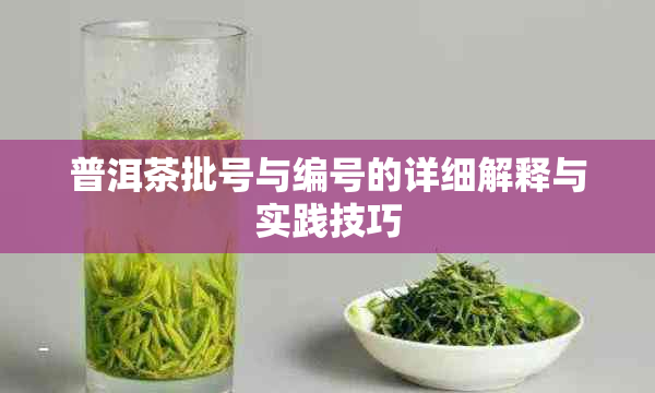 普洱茶批号与编号的详细解释与实践技巧