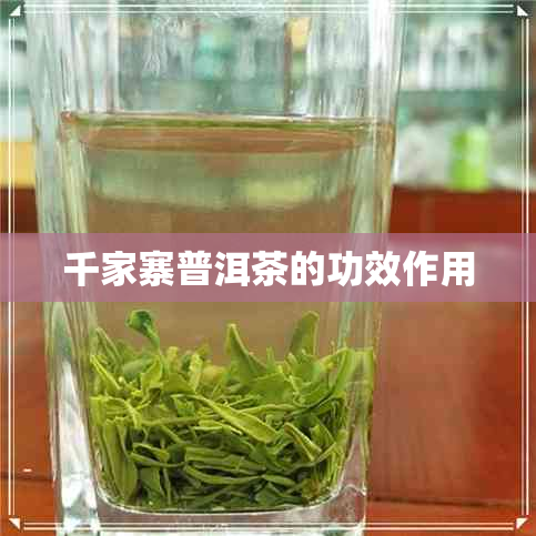 千家寨普洱茶的功效作用