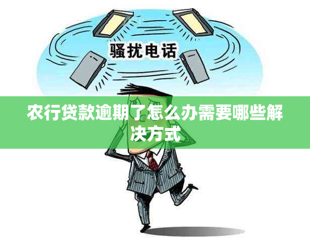 农行贷款逾期了怎么办需要哪些解决方式