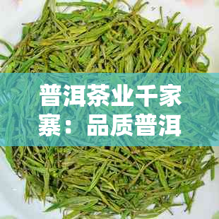 普洱茶业千家寨：品质普洱茶的领导者与选择