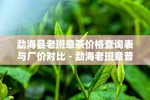 勐海县老班章茶价格查询表与厂价对比 - 勐海老班章普洱茶最新价格