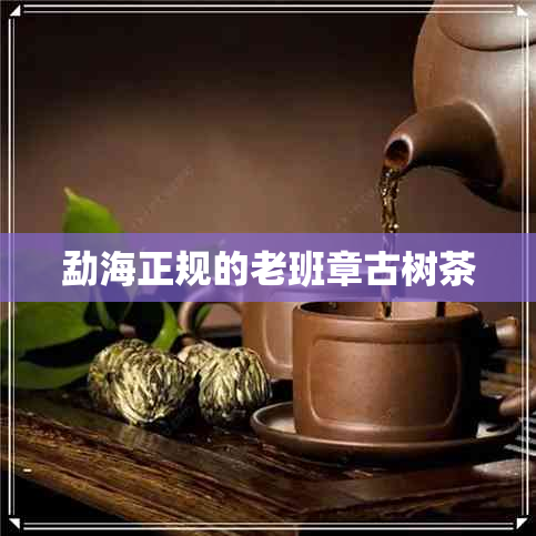 勐海正规的老班章古树茶