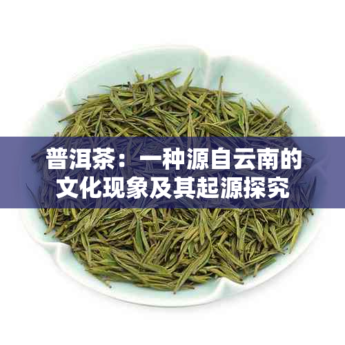 普洱茶：一种源自云南的文化现象及其起源探究