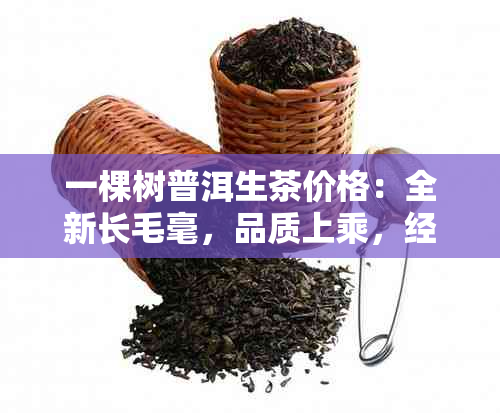 一棵树普洱生茶价格：全新长毛毫，品质上乘，经济实！