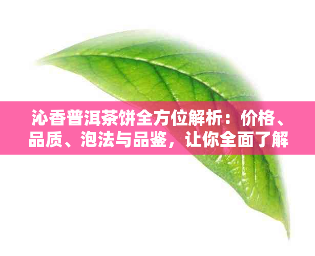 沁香普洱茶饼全方位解析：价格、品质、泡法与品鉴，让你全面了解这款名茶