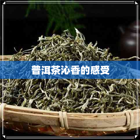 普洱茶沁香的感受