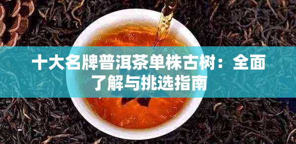 十大名牌普洱茶单株古树：全面了解与挑选指南