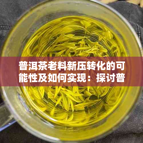 普洱茶老料新压转化的可能性及如何实现：探讨普洱茶的陈化过程与保存方法