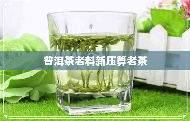 普洱茶老料新压算老茶