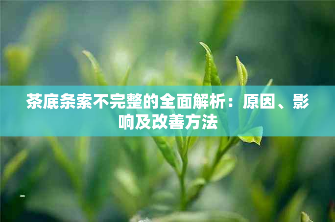 茶底条索不完整的全面解析：原因、影响及改善方法