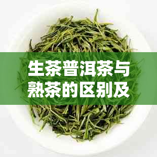 生茶普洱茶与熟茶的区别及其功效对比分析